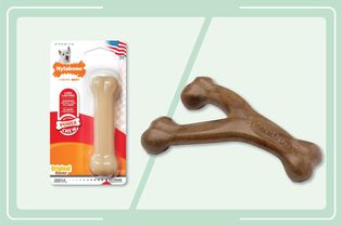 Nylabone Power Chew Dog Chew Toy and Benebone Wishbone Tough Dog Chew Toy collaged on a green background