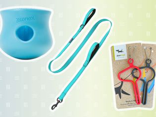 Collage of gifts we recommend for dogs and dog lovers on a colorful background
