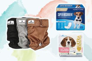 Assortment of dog diapers and dog wraps outlined in white and displayed on a colorful watercolor patterned background 