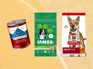 Collage of dog food brands we recommend on a yellow background