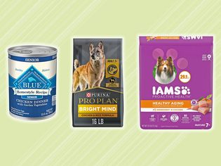 Assortment of the best dog food for older dogs we recommend on a green background 