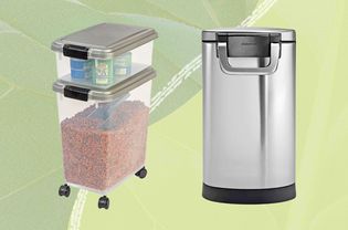 Best dog food storage containers collaged against a green patterned background