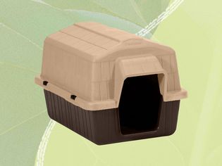 A dog house we recommend on a green background