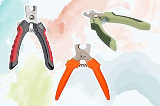 Collage of dog nail clippers we recommend on a colorful background