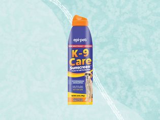 Sunscreen we recommend for dogs on a blue background