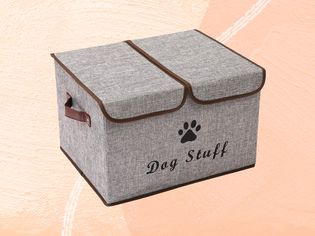 Dog toy storage we recommend on a yellow-orange background