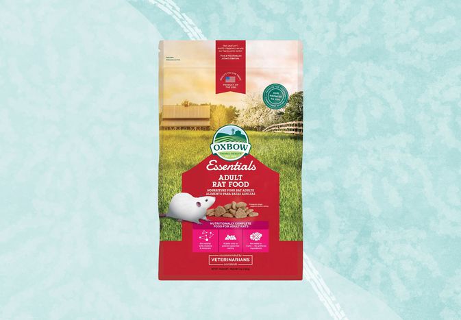 Pet rat food we recommend on a blue background