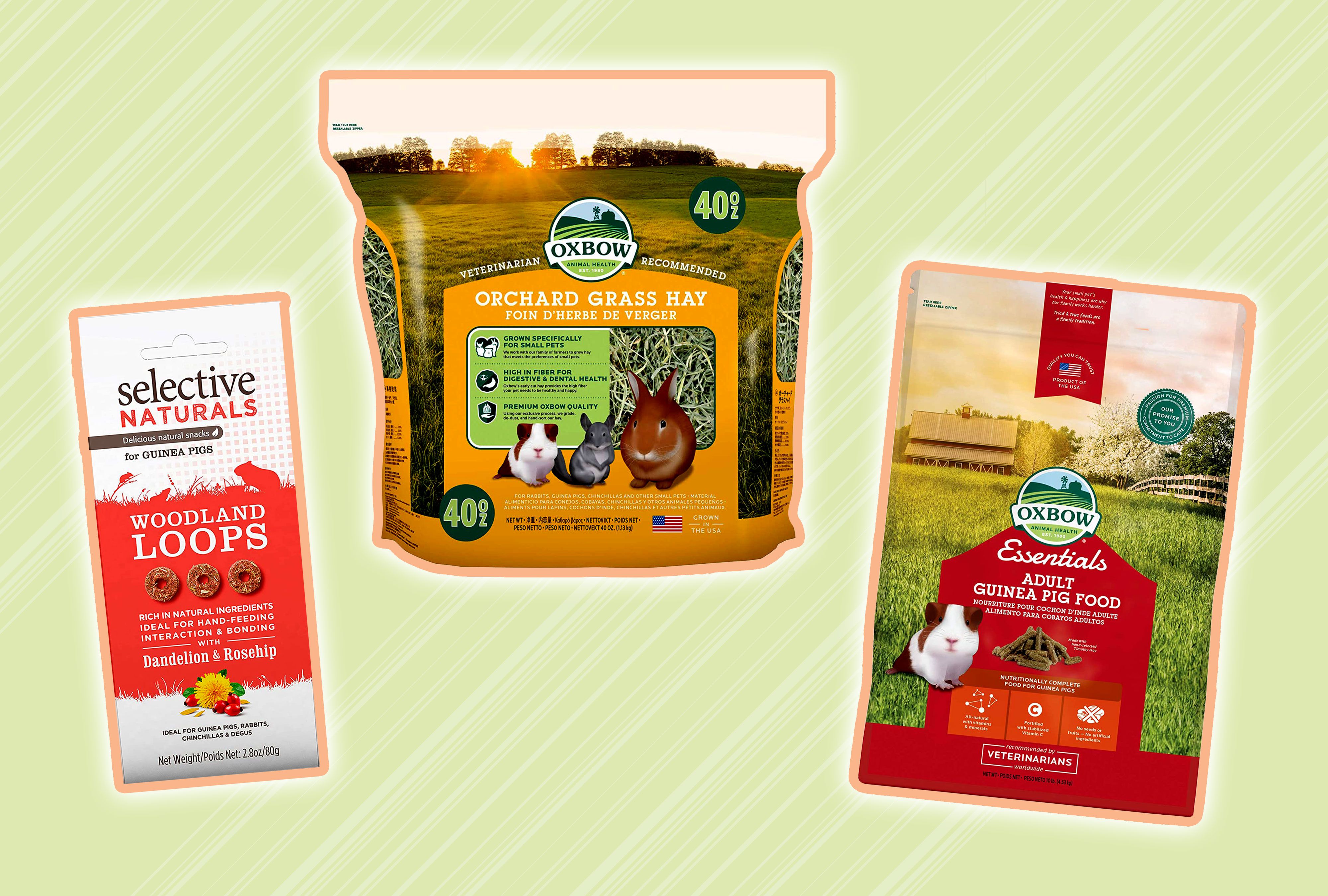 Assortment of guinea pig food bags outlined in peach and displayed on a green patterned background 