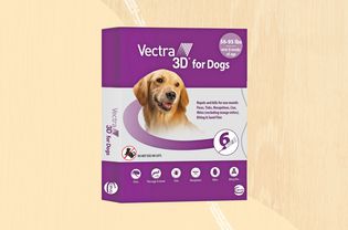 A mosquito repellent for dogs we recommend on a yellow background