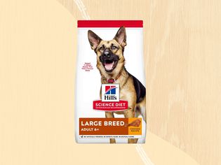 Dog food we recommend on a yellow background