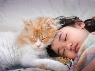 Close-Up Of Cute Girl Sleeping On Bed At Home