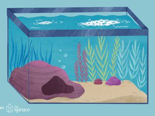 Foam on Aquarium Water