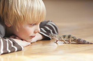 Child with Leopard Gecko
