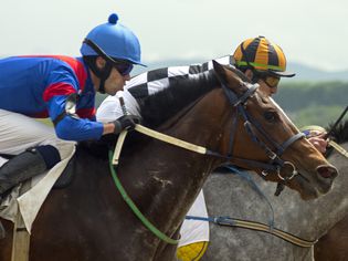 A bay and a gray racehorse battling for the lead.