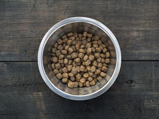 dog food
