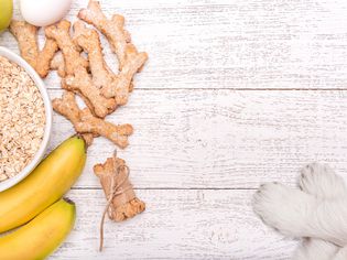 Oats, bananas, and oat dog treats on table next to white paws.