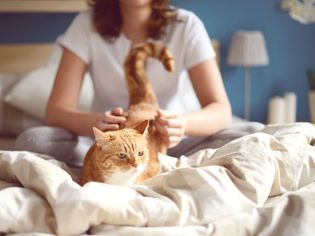 Girl and cat