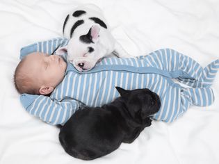 Puppies and baby