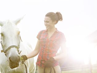 Lead your horses safely and securely