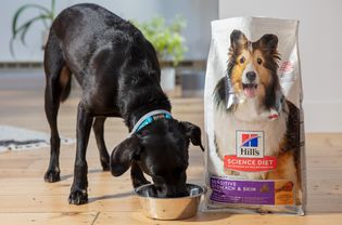 Bag of Hill's Science Diet Adult Sensitive Stomach & Skin set on hardwood flooring next to a dog eating from a bowl 
