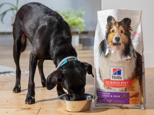 Bag of Hill's Science Diet Adult Sensitive Stomach & Skin set on hardwood flooring next to a dog eating from a bowl 