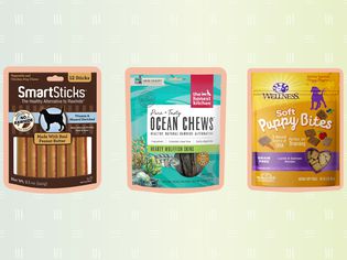 A collage of dog chews we recommend on a colorful background