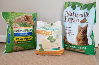 Bags of cat litter for kittens we recommend displayed on brown rug