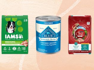A selection of budget dog foods we recommend on a decorative orange background