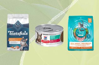 A collage of cat food for weight loss we recommend