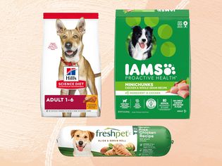 Walmart dog food we recommend on an orange background