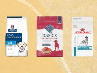 Assortment of the best dog foods for allergies we recommend on an orange background