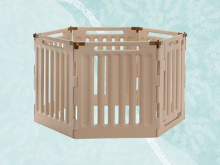 Richell Convertible Indoor/Outdoor Pet Playpen