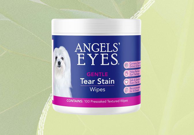 Dog tear stain remover we recommend on a green background