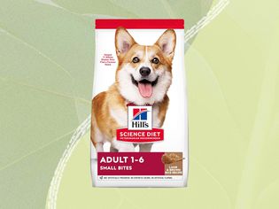 Dry dog food we recommend on a green background