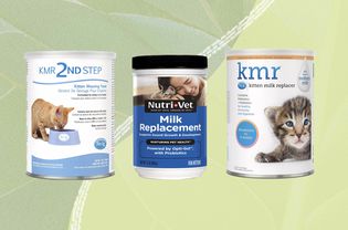 Best Kitten Milk Replacers of 2024