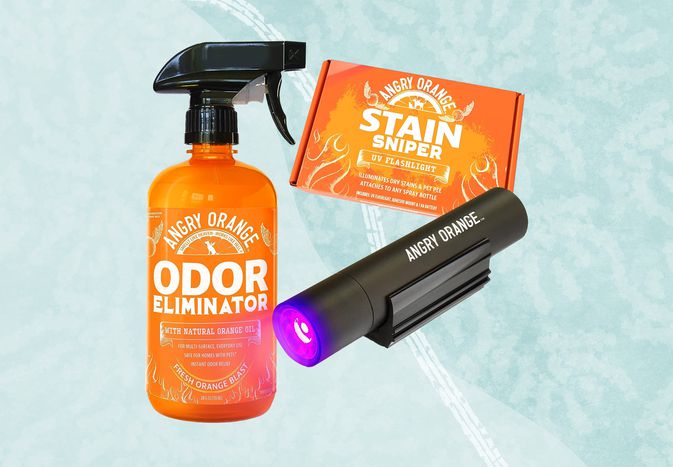 A pet urine detector we recommend on a blue background