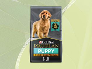 Purina Pro Plan Puppy Food on a green background