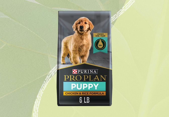 Purina Pro Plan Puppy Food on a green background