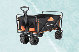 A dog wagon we recommend on a blue background