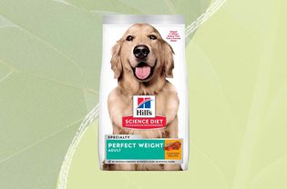 Hill's Science Diet Perfect Weight Adult Dog Food on a green background