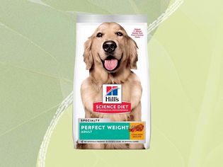 Hill's Science Diet Perfect Weight Adult Dog Food on a green background