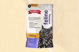 Cat supplements we recommend on an orange background