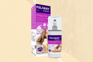 Feliway Classic Calming Spray for Cats