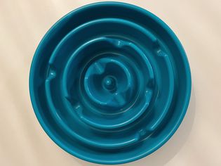 The Outward Hound Non-Skid Plastic Slow Feeder Interactive Dog Bowl on the floor