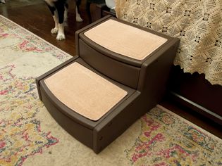 Pet Steps by bed