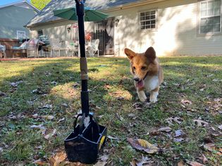 Arm & Hammer Claw Scoop displayed on grass in a yard next to a dog