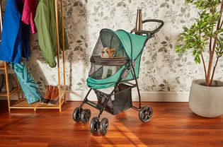 pet gear pet stroller