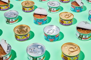 Cans of cat food we recommend on a green background