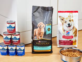 three brands of dog food on a kitchen floor