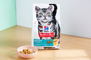 A bag of Hill's Science Diet Adult Dry Cat Food and a bowl of cat food